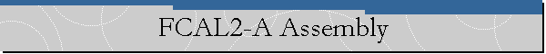 FCAL2-A Assembly