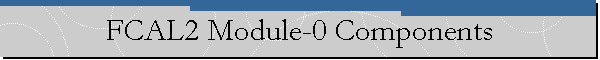 FCAL2 Module-0 Components